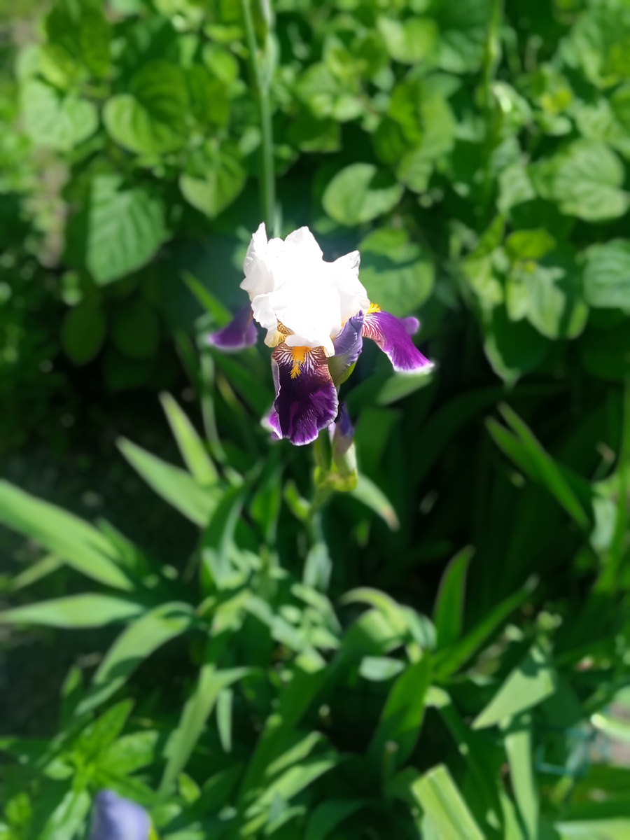 Личное