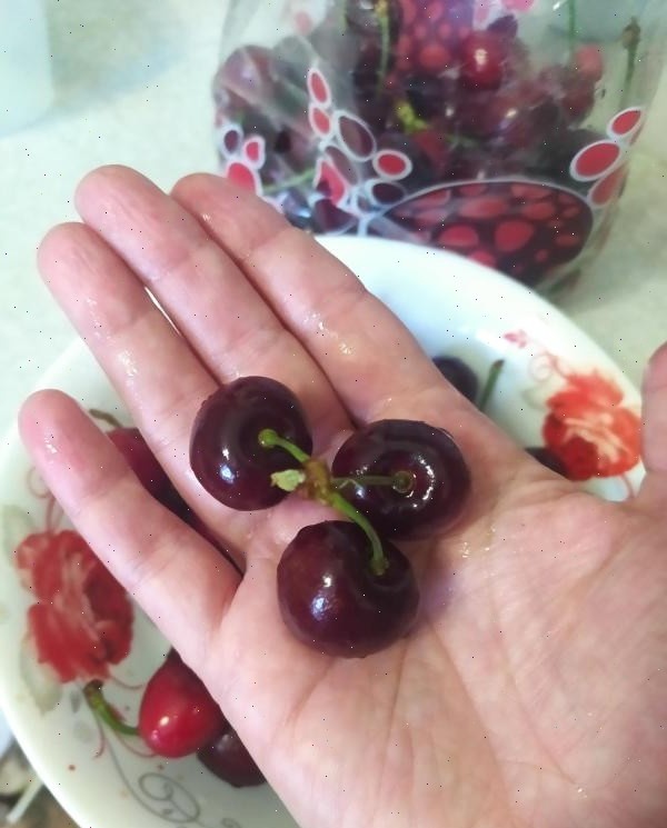 Ни хвостики, ни косточки я не убираю - кладу в банку прямо так.