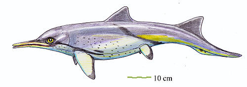 Фалародон от Дмитрия Богданова.