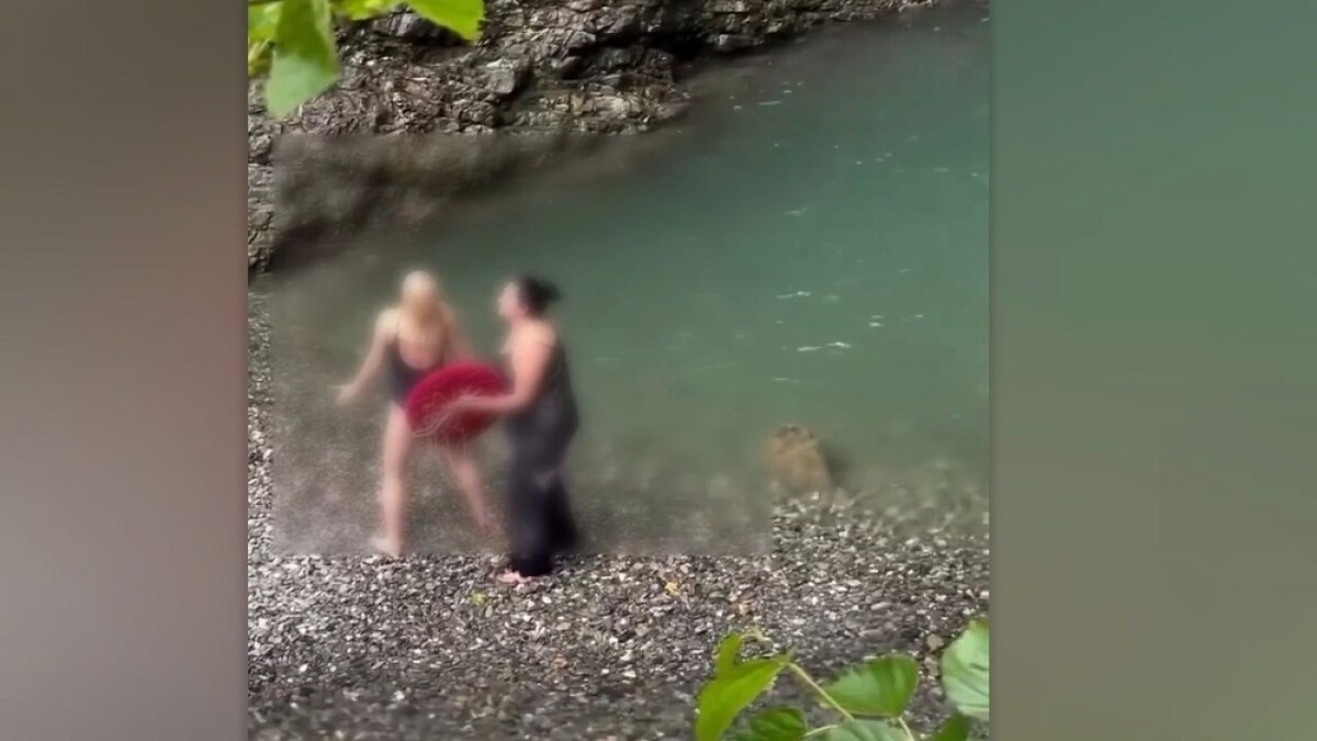    Фото: телеканал «Краснодар»