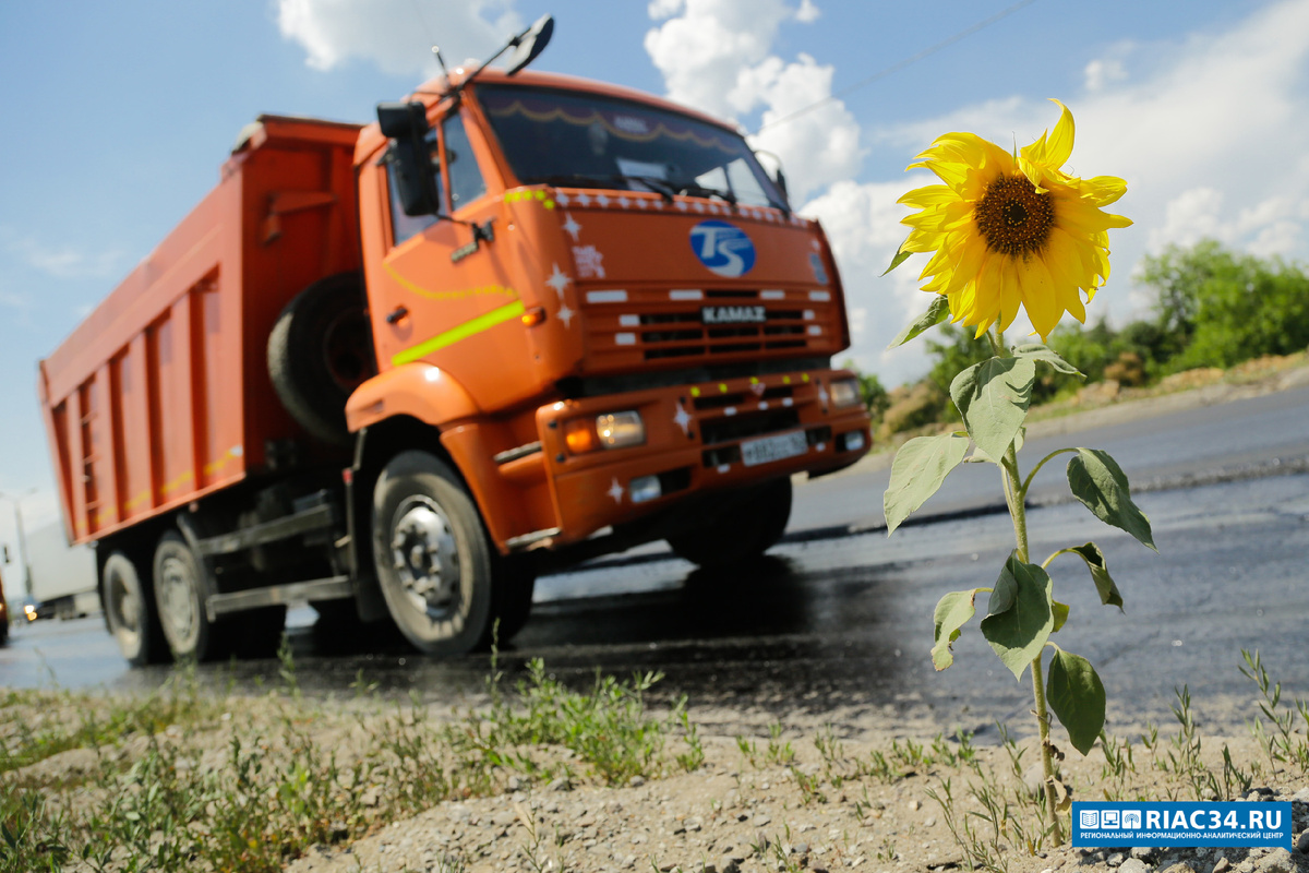 Фото: Александр Куликов