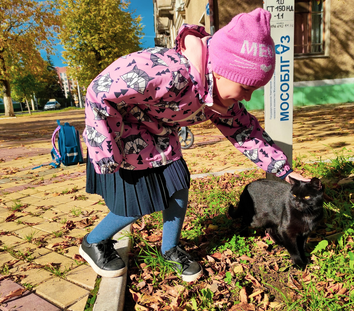 Кота Ева хотела давно...