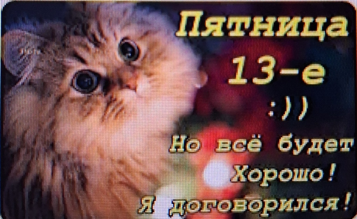 Подарок в соцсетях. Фото автора.