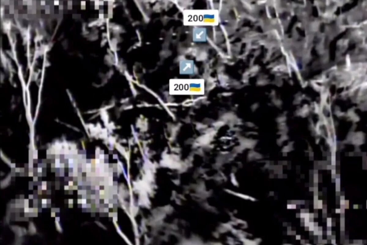    Глава Чечни показал уничтожение солдат ВСУ под песню «Дух Руси внутри тебя»