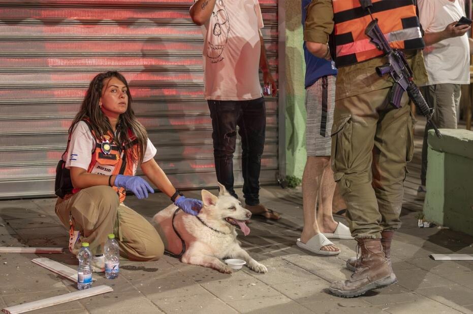    Ilia Yefimovich/dpa/Global Look Press