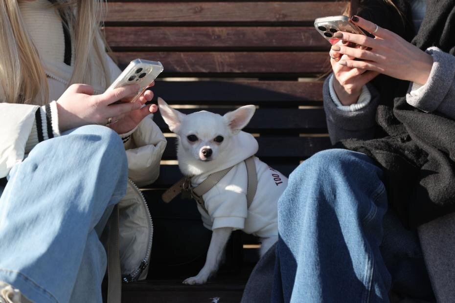    Алексей Белкин/NEWS.ru