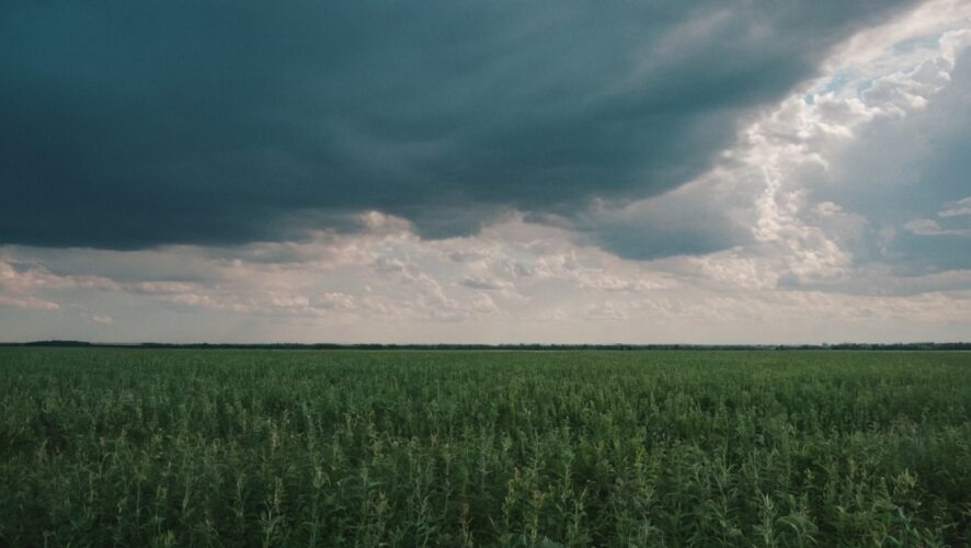    Фото: создано ИИ