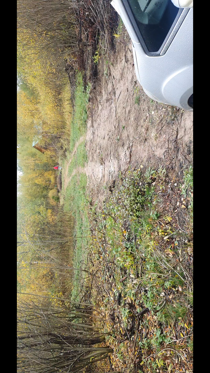 Путь к дому, первые меяца