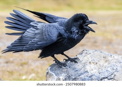 #андропауза #мужскоездоровье #тестостерон #возрастэтосила #осознанноестарение #мужскаяпсихология