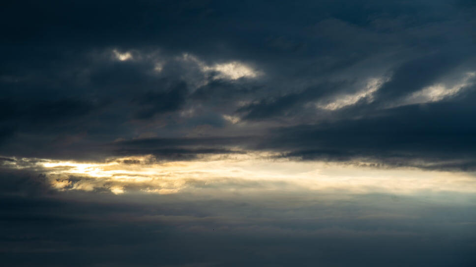 Фото: Олег Харсеев / Коммерсантъ