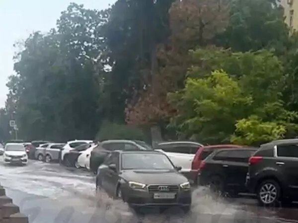    Фото: Соцсети Веселовские вести