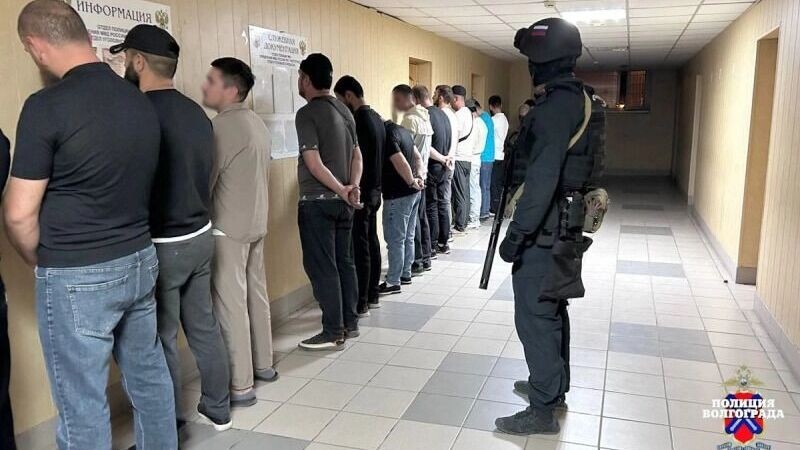     Источник: ГУ МВД России по Волгоградской области