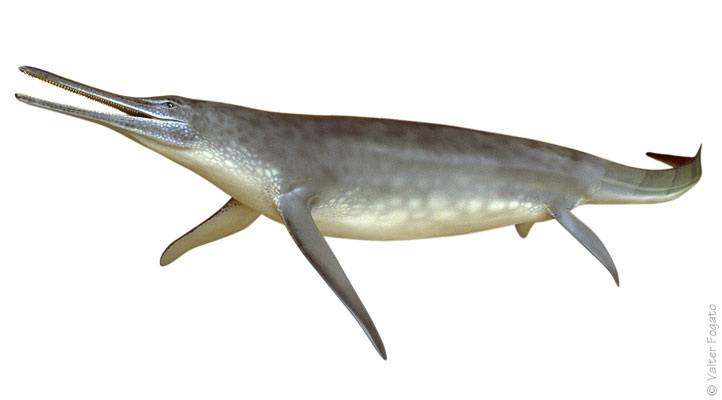 Безанозавр. Реконструкция.