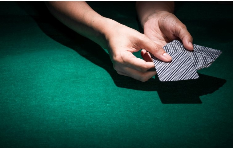    Фото: freepik.com/free-photo Александра Горохова