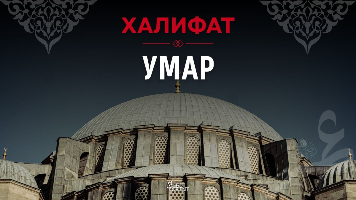 Фото взято в фотостоке Canva