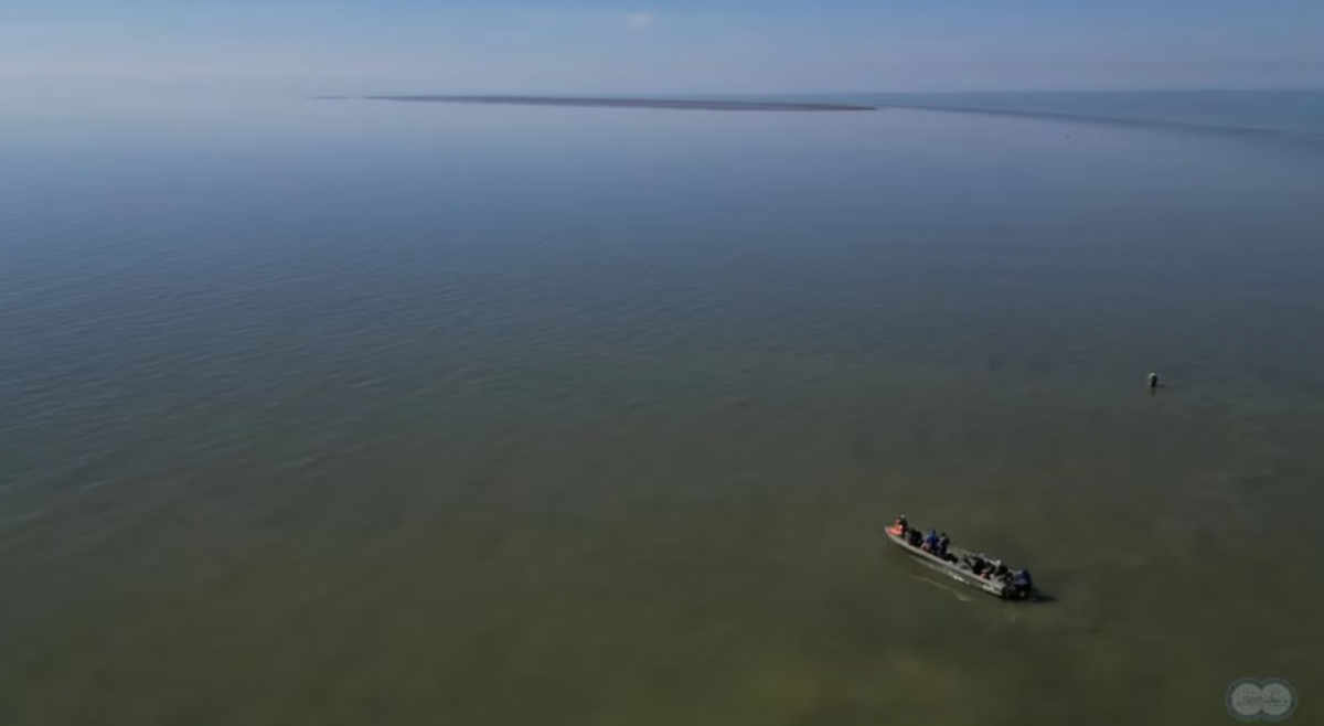 Фото: соц сети