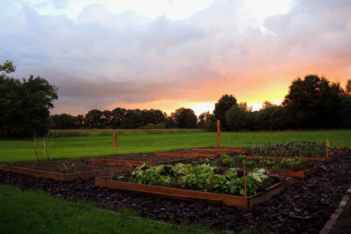 Источник фото: vega-gaming.ru