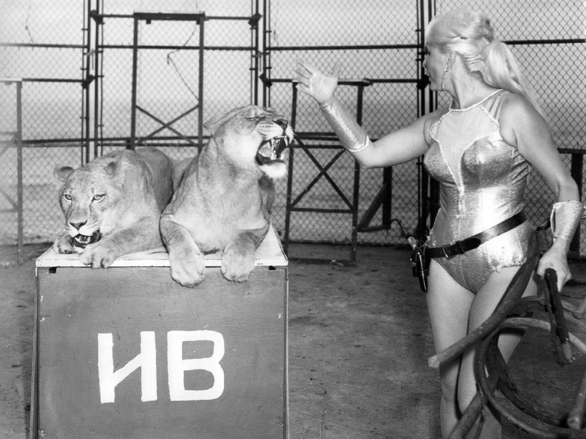 Фотография: ooocha, CC BY-SA 2.0