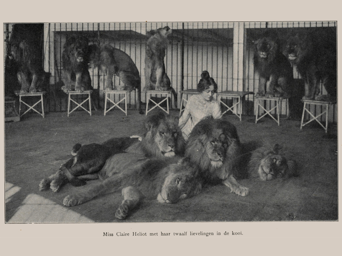 Цирк Амстердама, 1903 год.