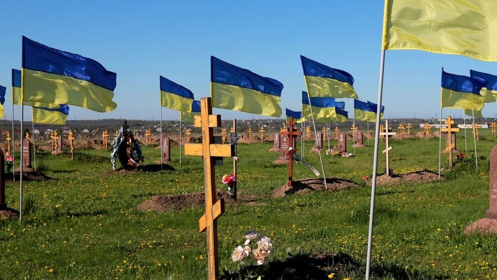    Фото: rospoint/Shutterstock/Fotodom