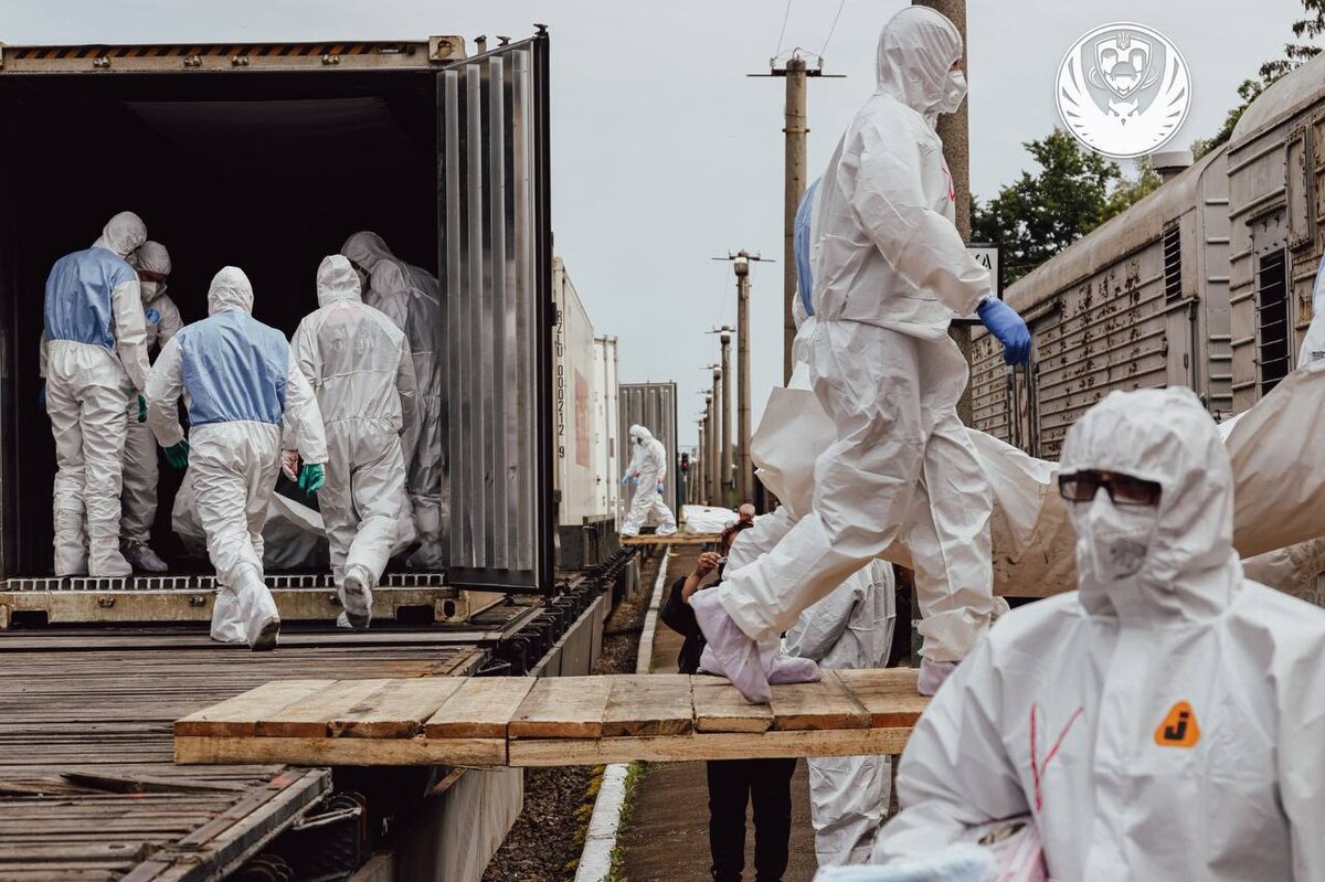    Фото: t.me/Koord_shtab