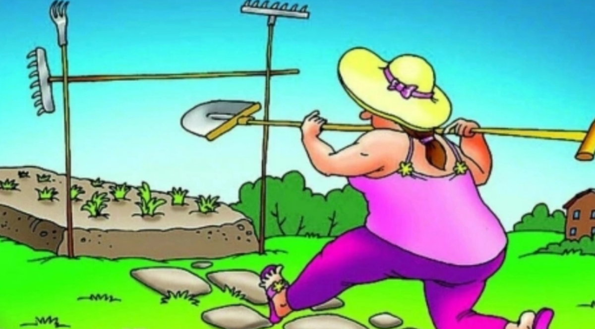 вперед к новым вершинам