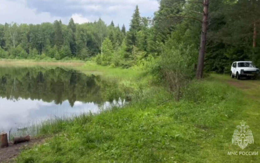    39-летний мужчина утонул в пруду под Увой