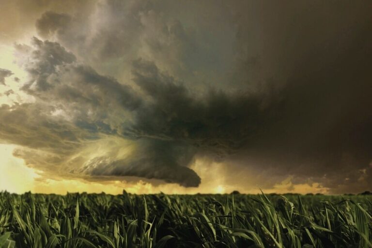    Фото: freepik.com/freepik Ольга Чистова