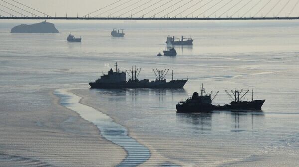    © Sputnik / Виталий Аньков