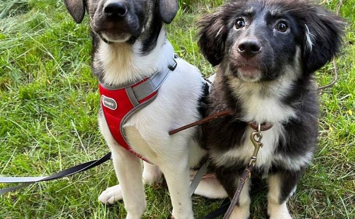    Фото предоставлены Еленой Назаровой.