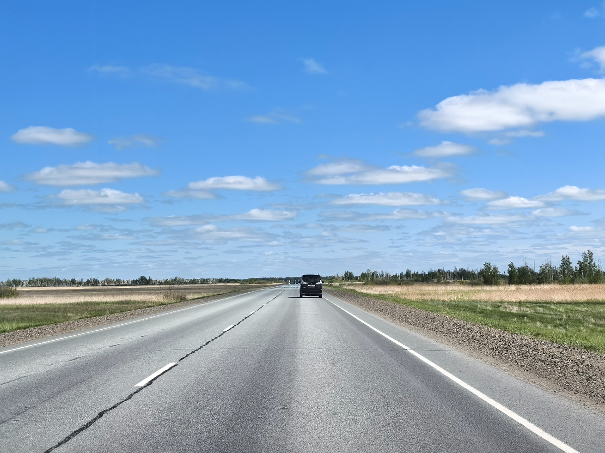 Равнина. Едем на Алтай