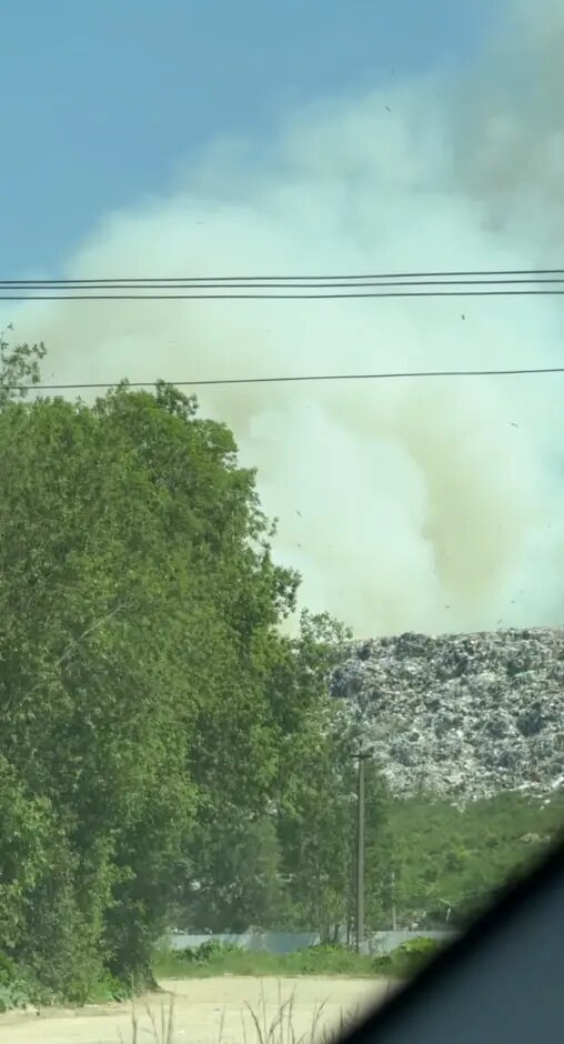    Фото: скриншот из видео в телеграм-канале «Тосно|Тосненская Телега».