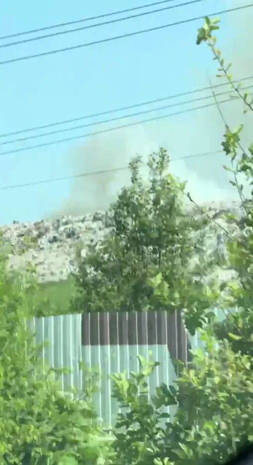    Фото: скриншот из видео в телеграм-канале «Тосно|Тосненская Телега».