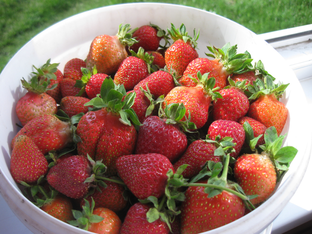 Клубника, фото автора