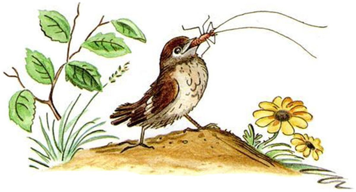 БЕСЕДЫ С УЧИТЕЛЕМ ММ