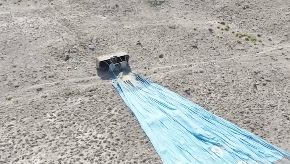     / Источник: ©Кадр из видео