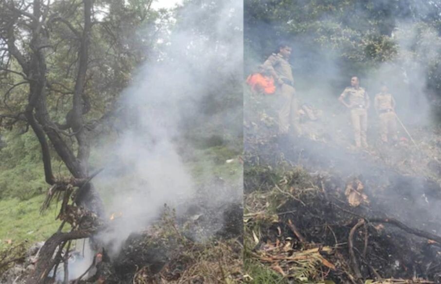     / Источник: ©Кадр из видео