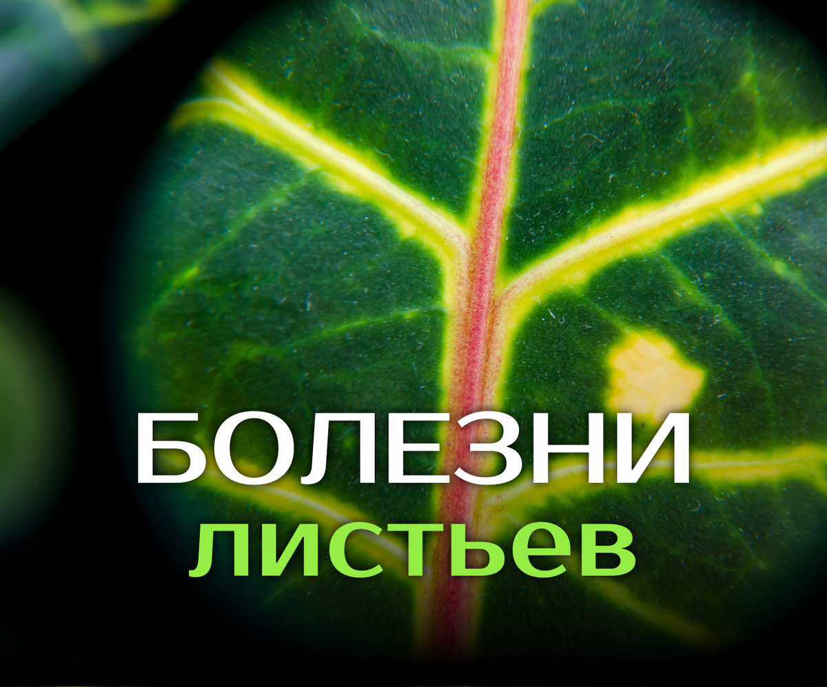 Сигнал о помощи