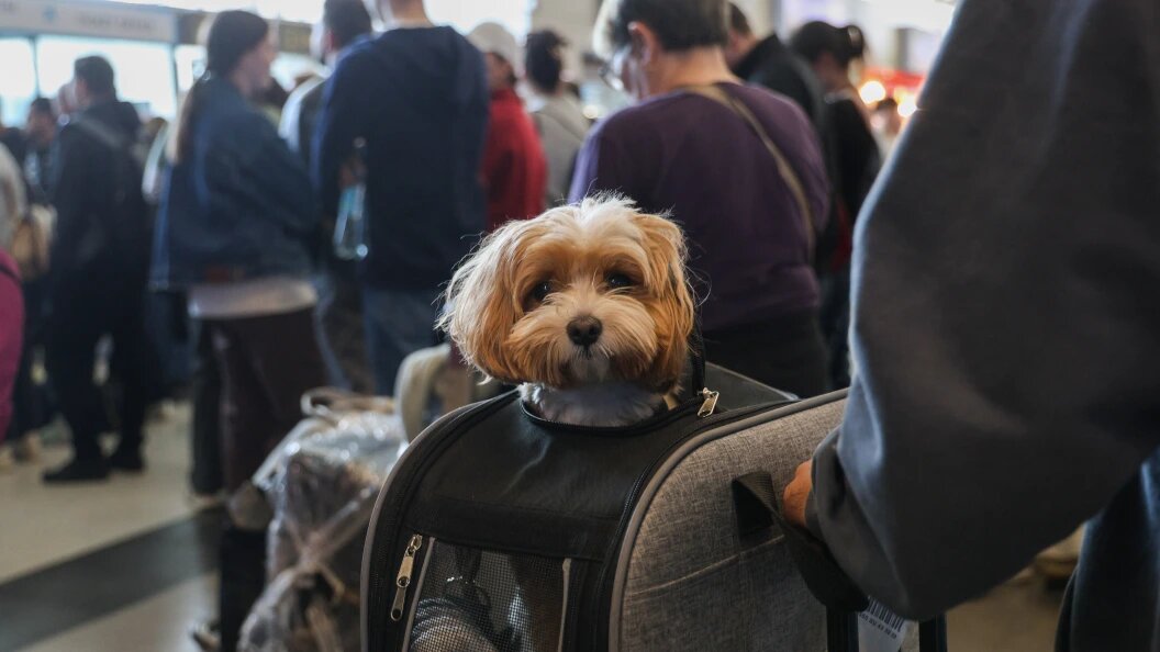    Andrey Titov/Business Online/Globallookpress