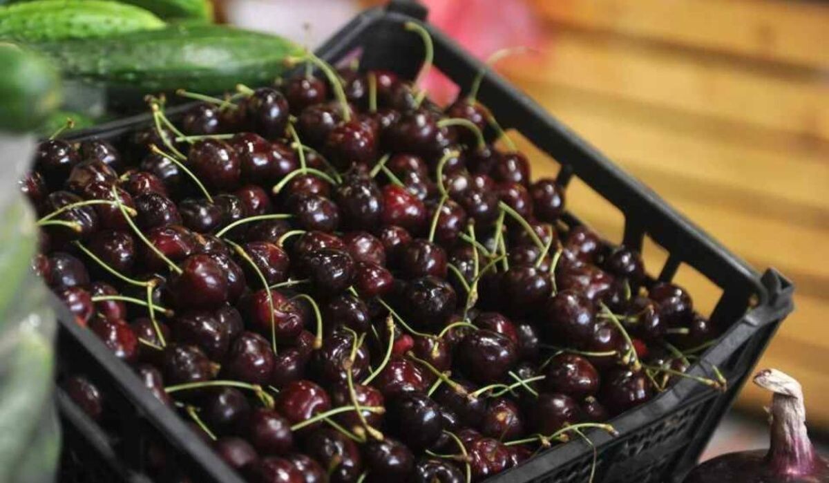     Черешня. Источник: kp.ru Автор фото: Юлия Пыхалова