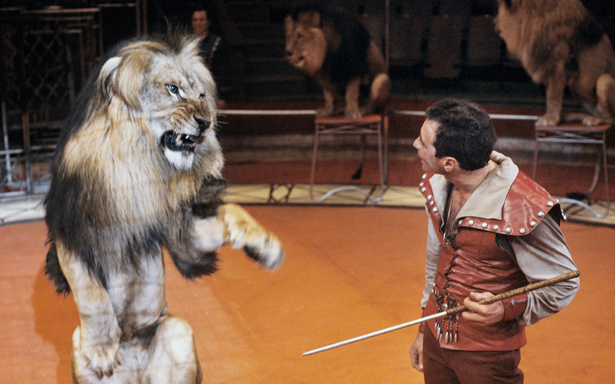 Что-то садистическое запечателно на фотографии