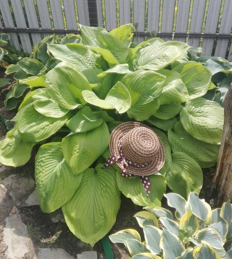 Сам энд сабстенс. Переводят по-разному, но мне очень нравится вариант ВСЯ СУЩНОСТЬ,