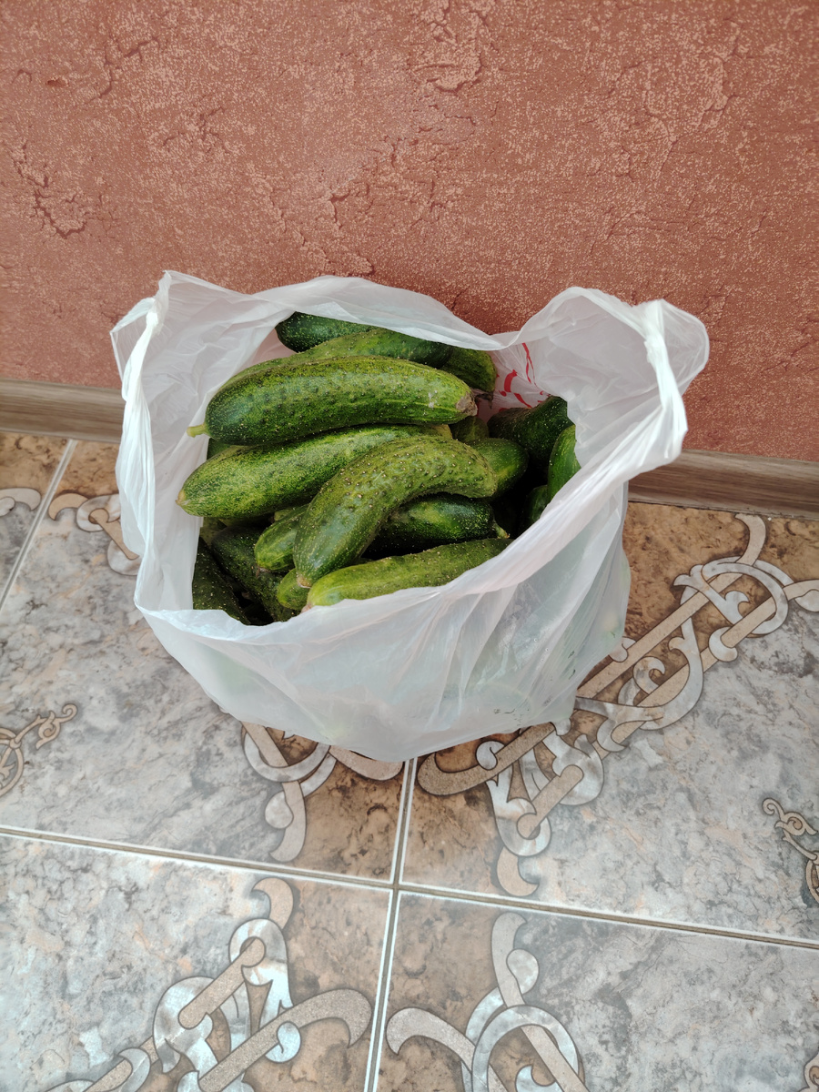 Фото автора канала