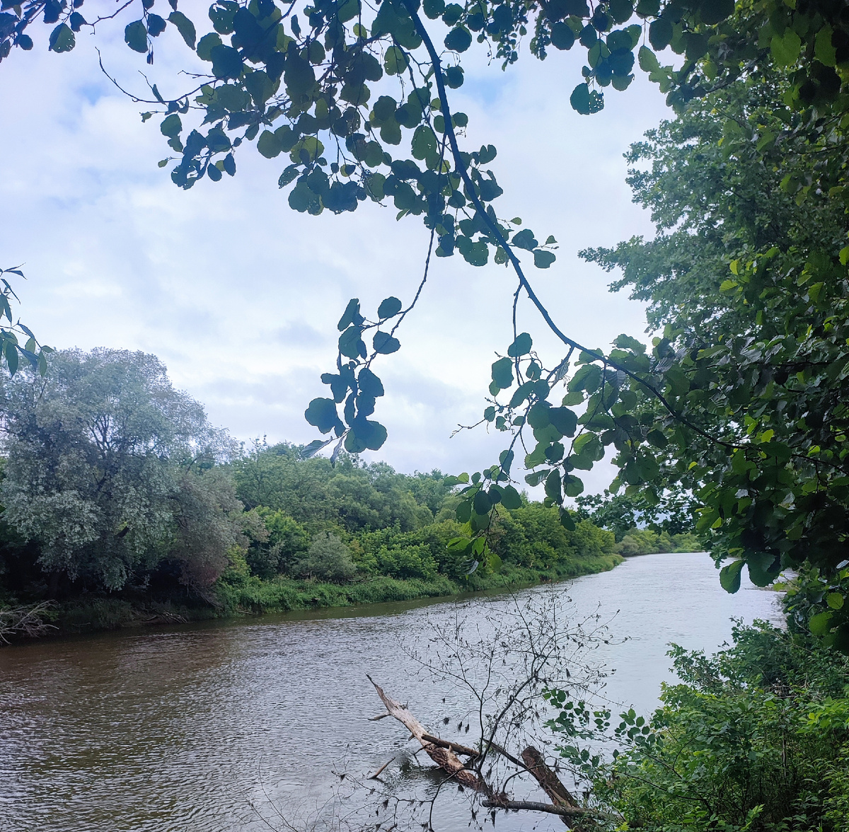 Р. Жиздра, приток Оки