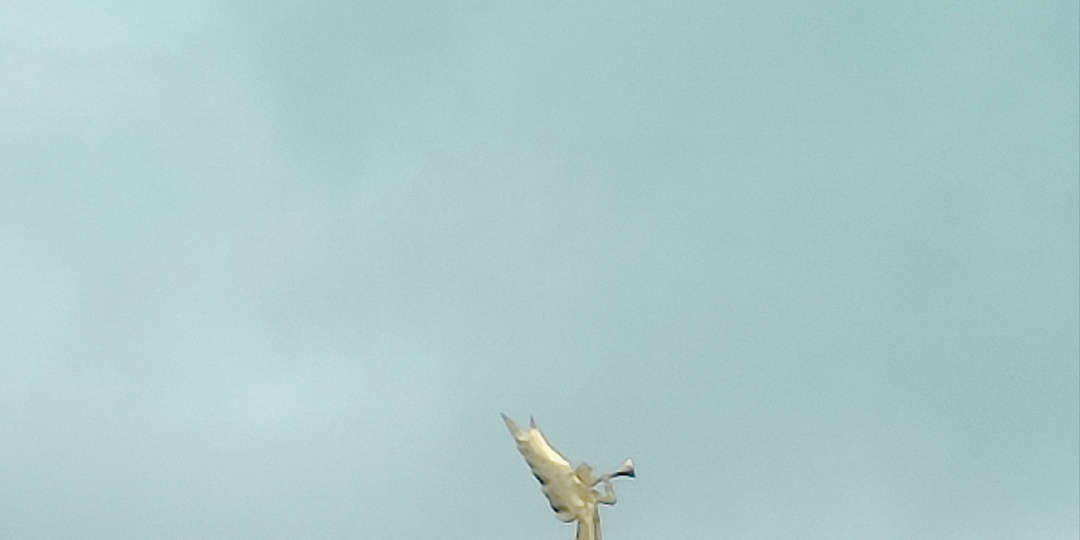 Оптина пустынь