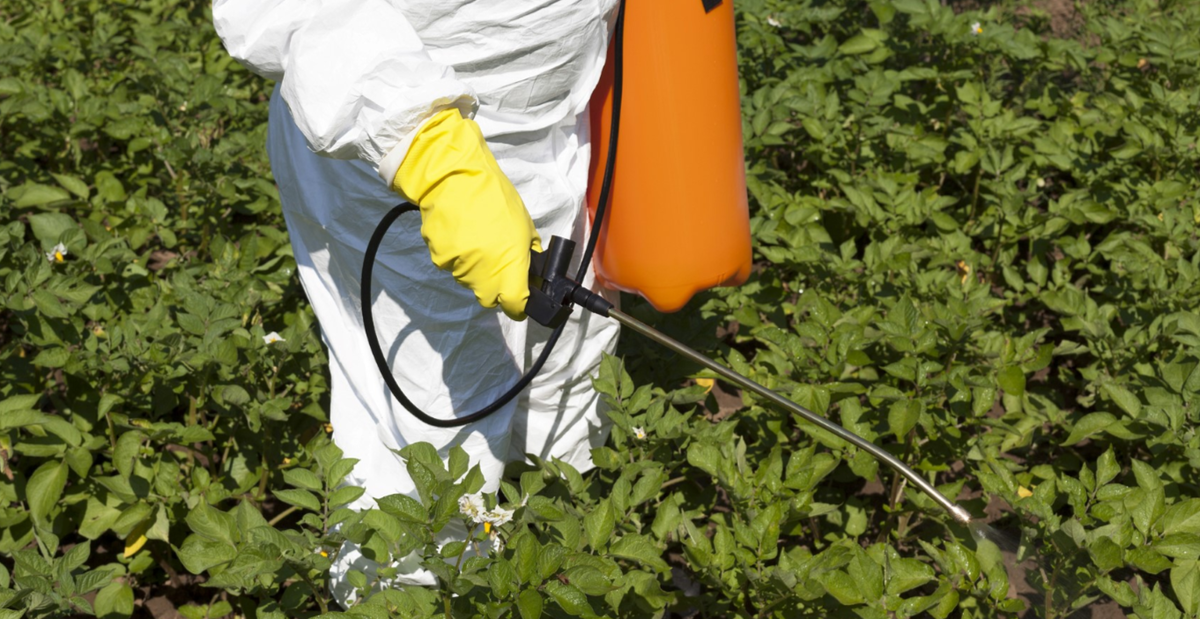 Химические инсектициды 