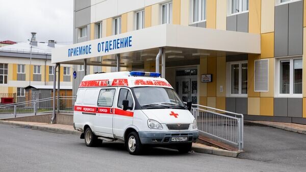    © Sputnik / Natalia Airiyan