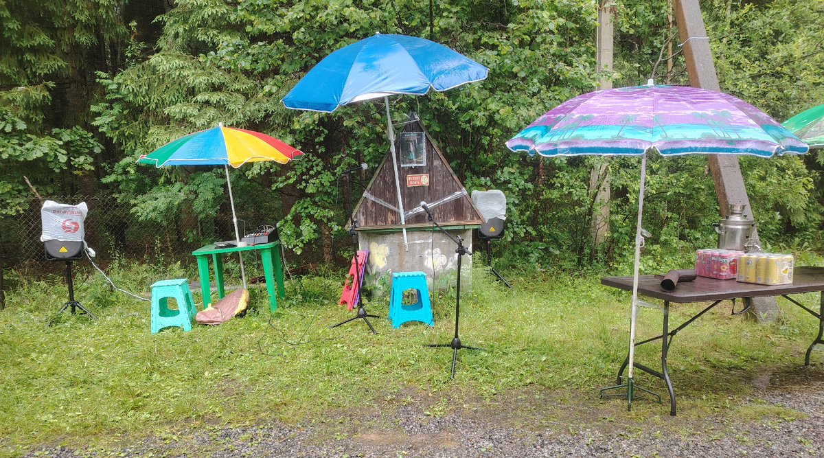 зонтиков не может быть много (фото автора)