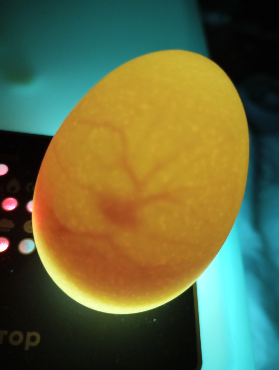 Вот такая маленькая жизнь.