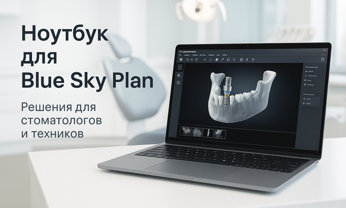 Как выбрать ноутбук для работы в Blue Sky Plan